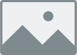 Air India AI-171 Tragedy: 265 Dead in Ahmedabad Crash, PM Modi Reviews Situation